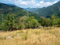 Isolated house at Scarisoara hamlet, Romania